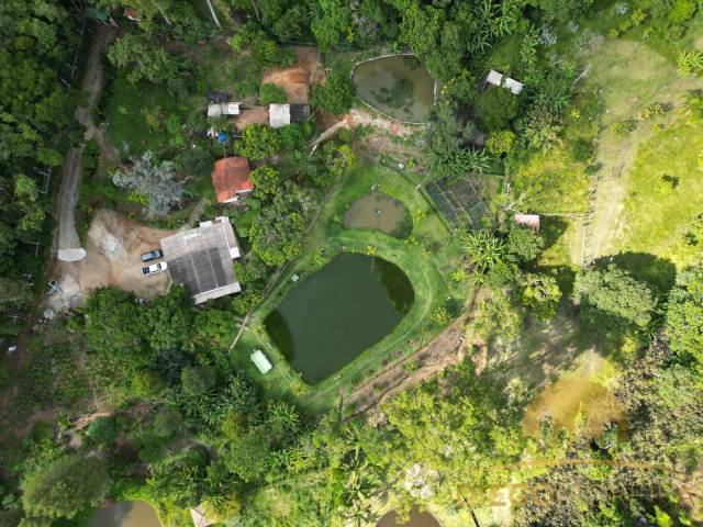 #ST24 - Sítio para Venda em Atibaia - SP - 3