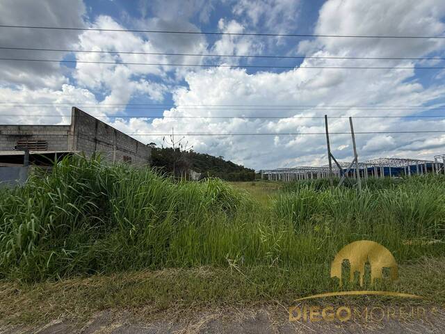 #TR444 - Área indústrial e comercial para Venda em Atibaia - SP - 1