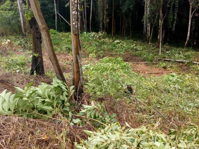 #TR445 - Terreno para Venda em Mairiporã - SP - 3