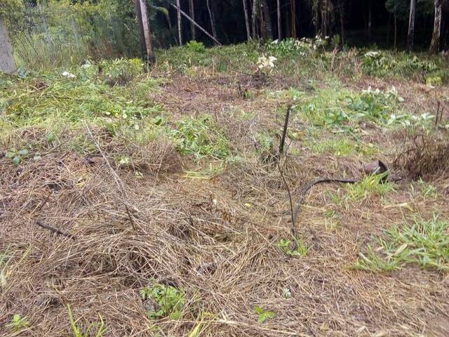 #TR445 - Terreno para Venda em Mairiporã - SP - 2