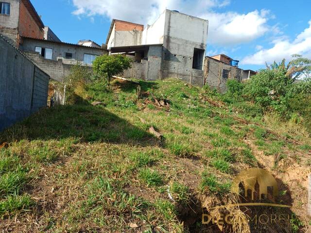 #TR446 - Terreno para Venda em Mairiporã - SP - 3