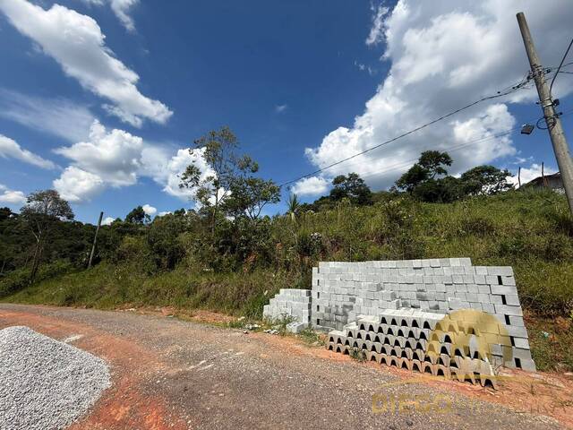 Venda em Jundiaizinho (Terra Preta) - Mairiporã
