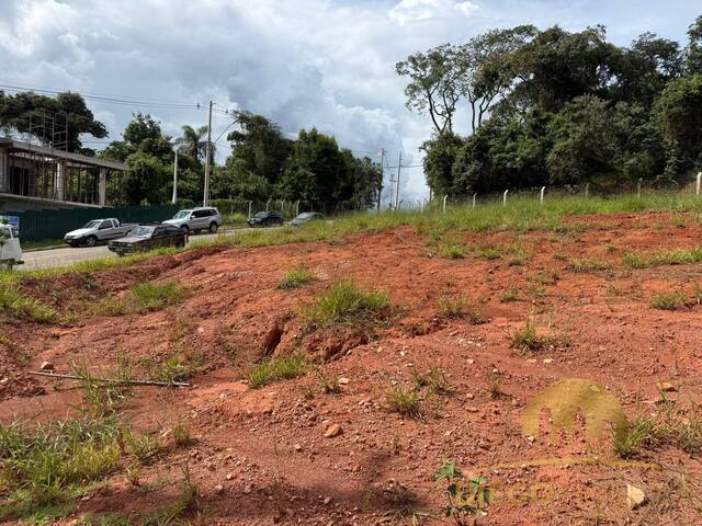 Venda em Cachoeira - Atibaia
