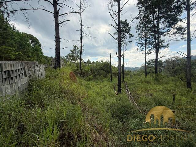 #TR463 - Terreno em condomínio ou associação para Venda em Mairiporã - SP - 1