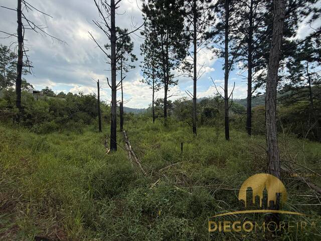 #TR464 - Terreno em condomínio ou associação para Venda em Mairiporã - SP - 1