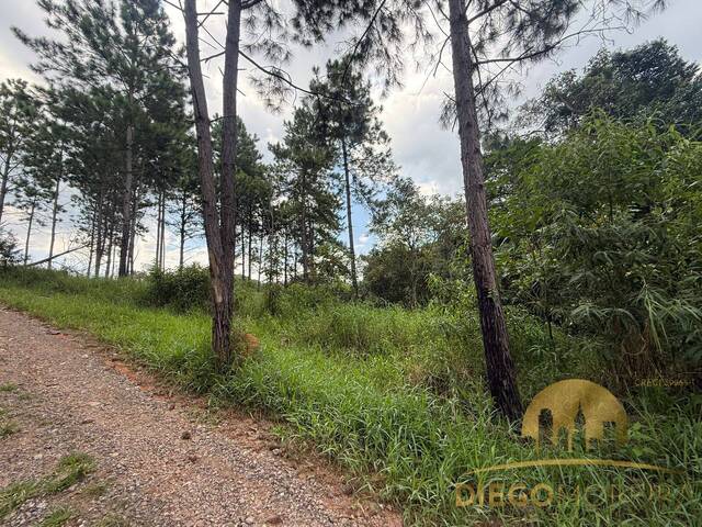 #TR465 - Terreno para Venda em Mairiporã - SP - 1