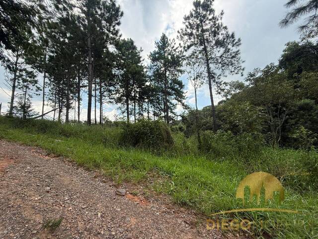 #TR465 - Terreno para Venda em Mairiporã - SP - 2