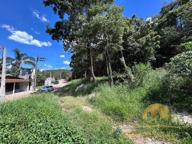 #TR471 - Terreno para Venda em Mairiporã - SP - 3
