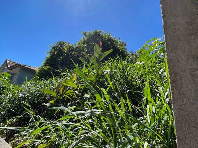 #TR452 - Terreno para Venda em Mairiporã - SP - 2