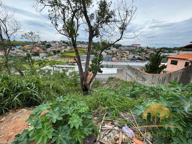 #TR429 - Terreno para Venda em Mairiporã - SP - 2