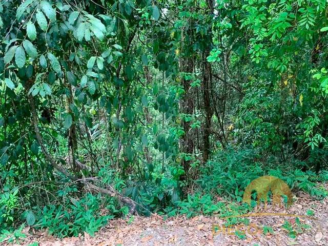 #TR476 - Terreno em condomínio ou associação para Venda em Mairiporã - SP - 2