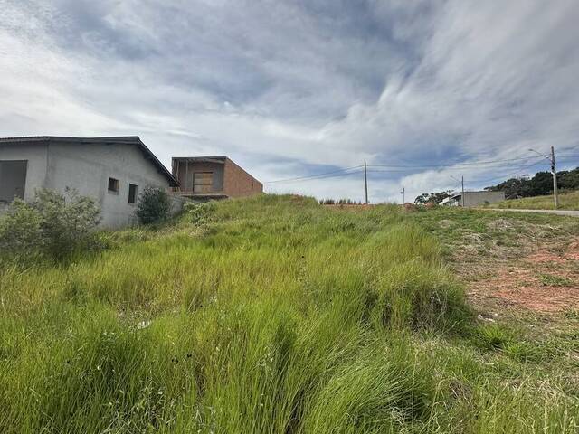 #TR416 - Área indústrial e comercial para Venda em Mairiporã - SP - 1