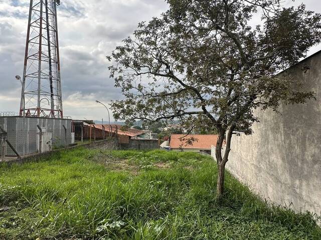 #TR484 - Área indústrial e comercial para Venda em Atibaia - SP - 3