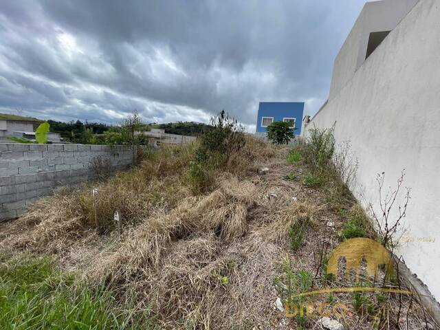 Terreno para Venda em Mairiporã - 3