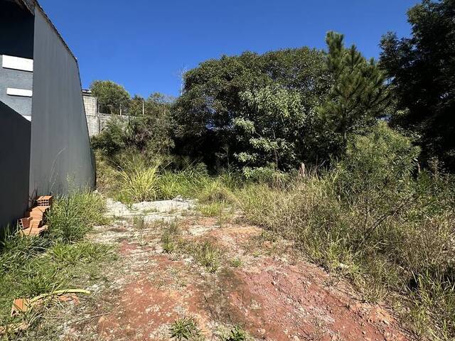 #TR428 - Terreno para Venda em Mairiporã - SP - 1