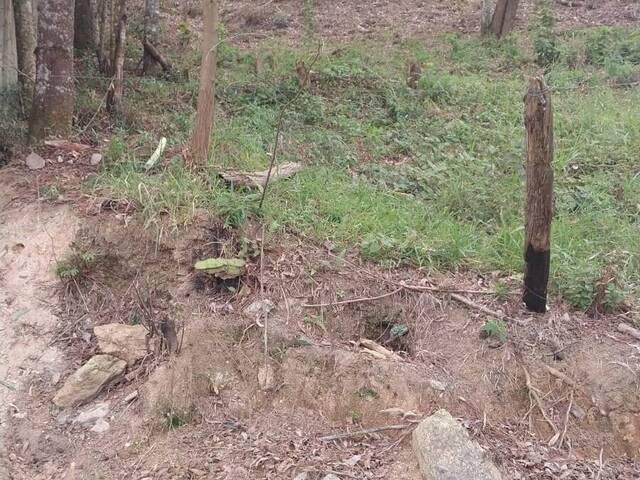 Área indústrial e comercial para Venda em Mairiporã - 4
