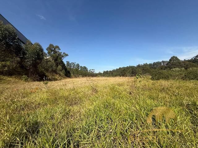 Venda em Canjica (Terra Preta) - Mairiporã