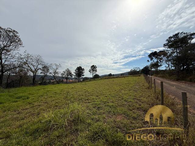 Terreno para Venda em Mairiporã - 5