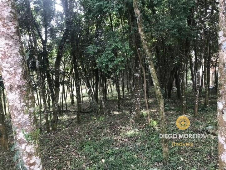 terreno venda Jardim Maria Antonina Mairiporã terreno venda Jardim Maria Antonina Mairiporã
