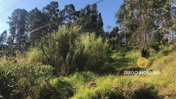 terreno venda Terra Preta Mairiporã terreno venda Terra Preta Mairiporã