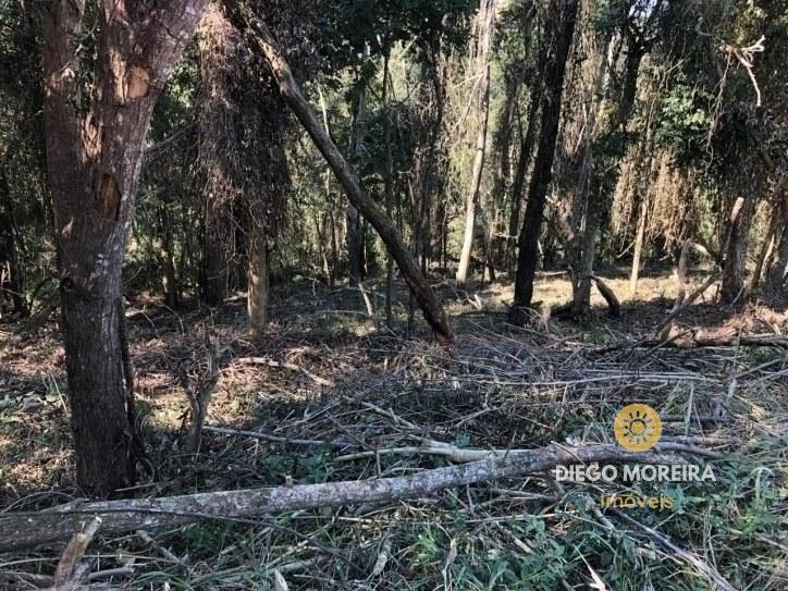 terreno venda Terra Preta Mairiporã terreno venda Terra Preta Mairiporã