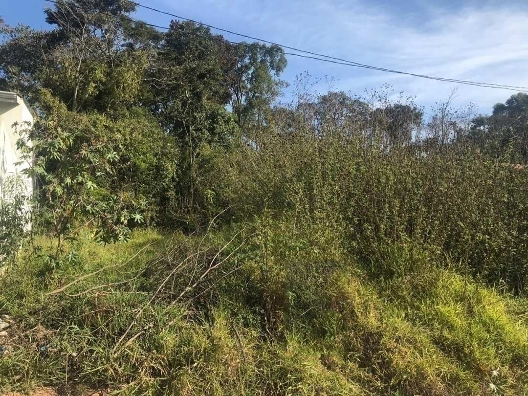 terreno venda Terra Preta Mairiporã terreno venda Terra Preta Mairiporã