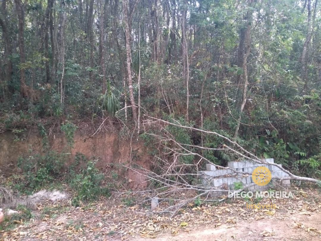 terreno venda Paineiras Mairiporã terreno venda Paineiras Mairiporã